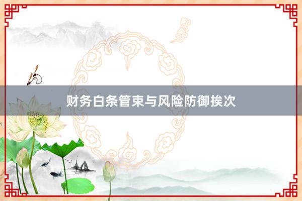 财务白条管束与风险防御挨次